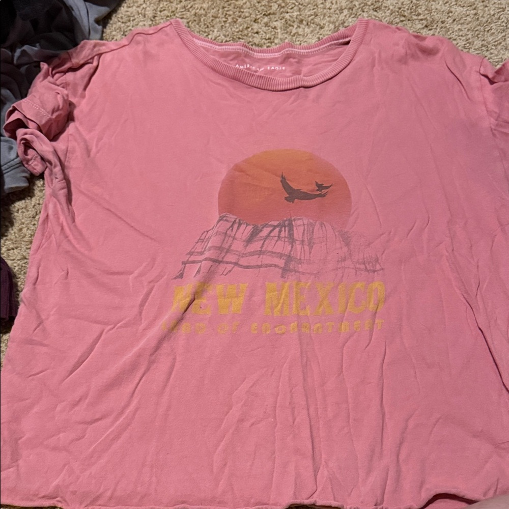 American Eagle Outfitters Pink New Mexico Graphic Tee